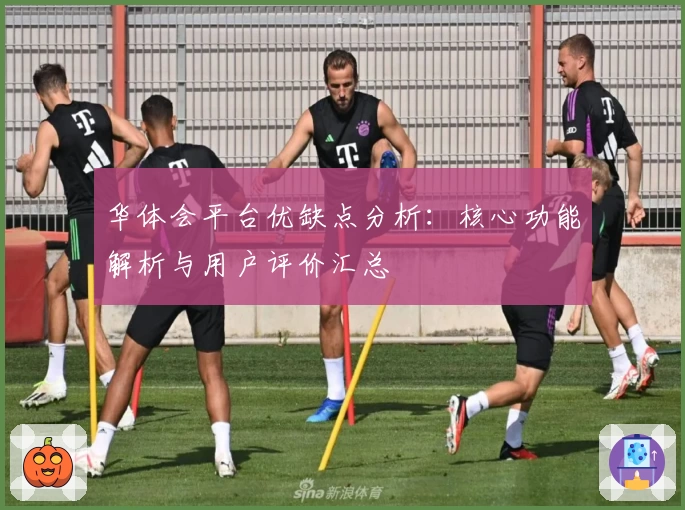 华体会平台优缺点分析：核心功能解析与用户评价汇总
